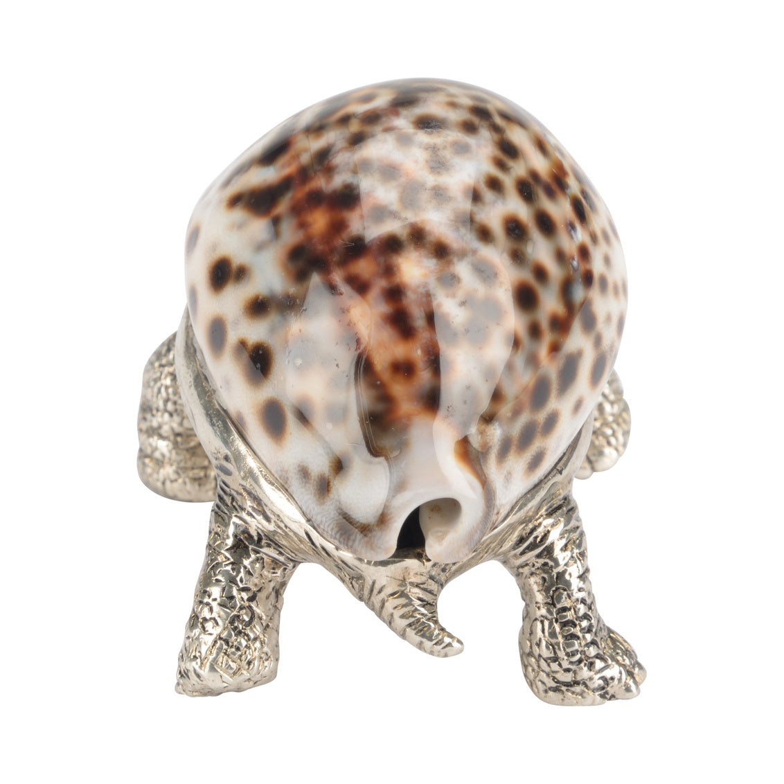 Turtle Paperweight in 2.5 / Brass - Chelsea House