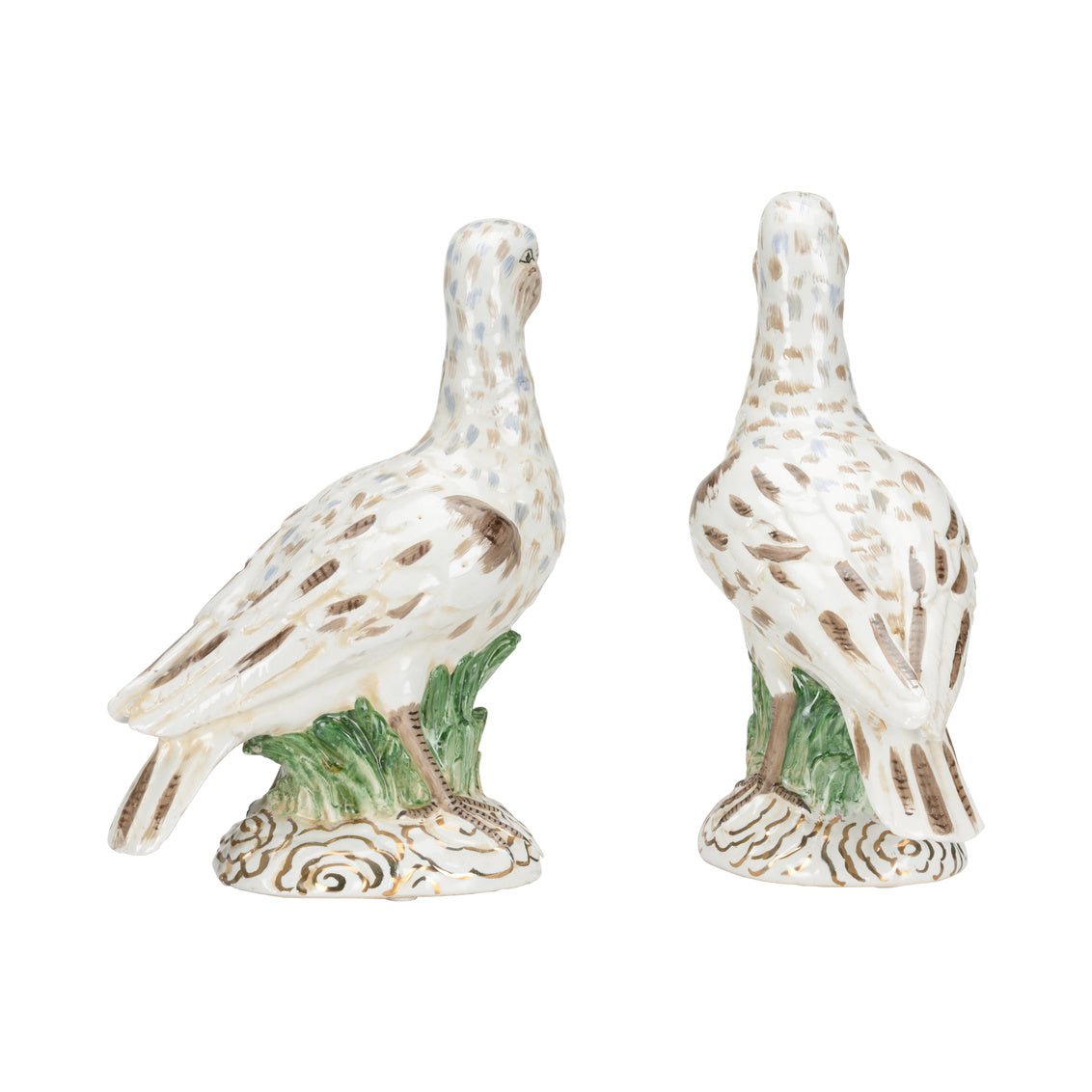 Terns (Pr)