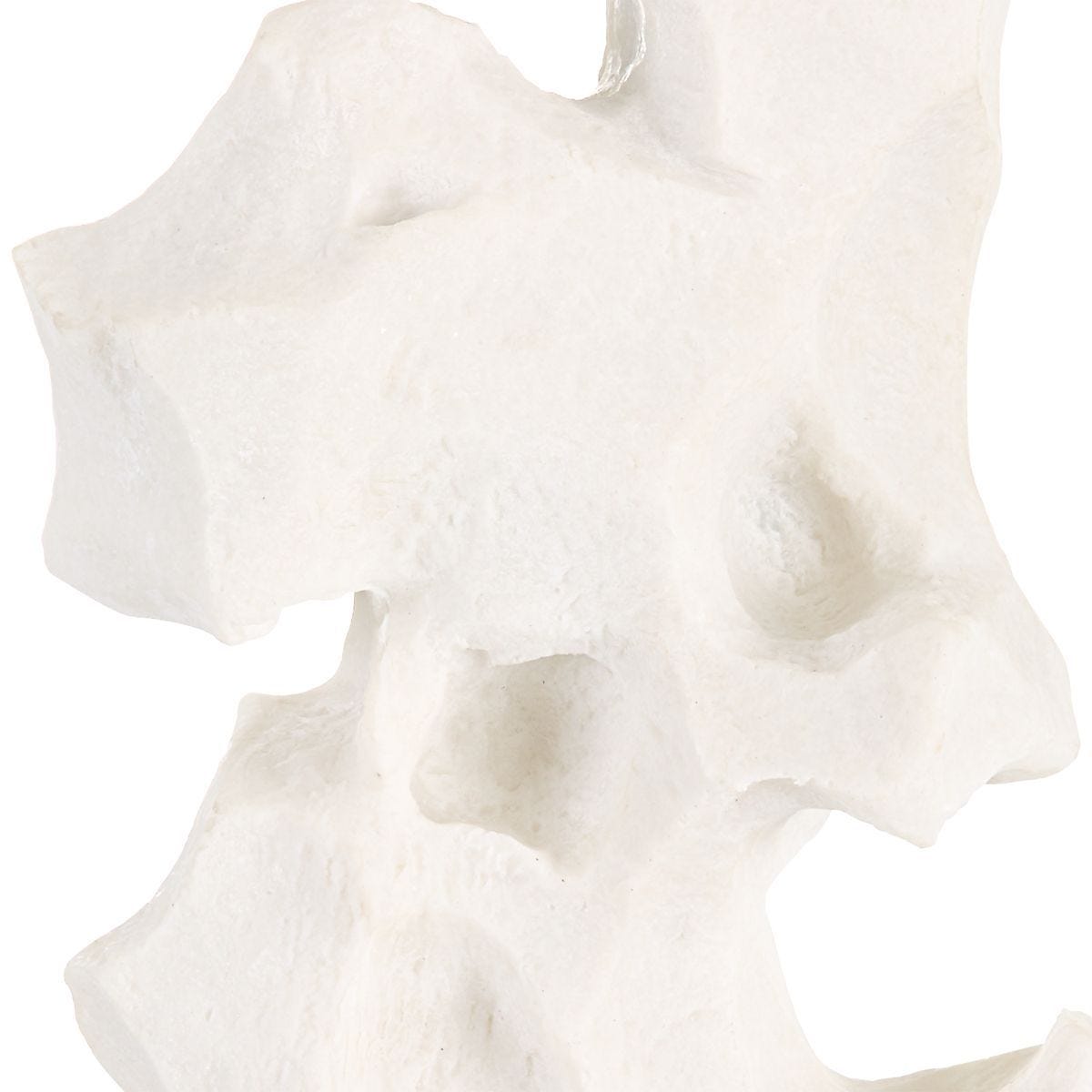 Remnant Table Lamp – Lamps by Uttermost | Sutter & Vale