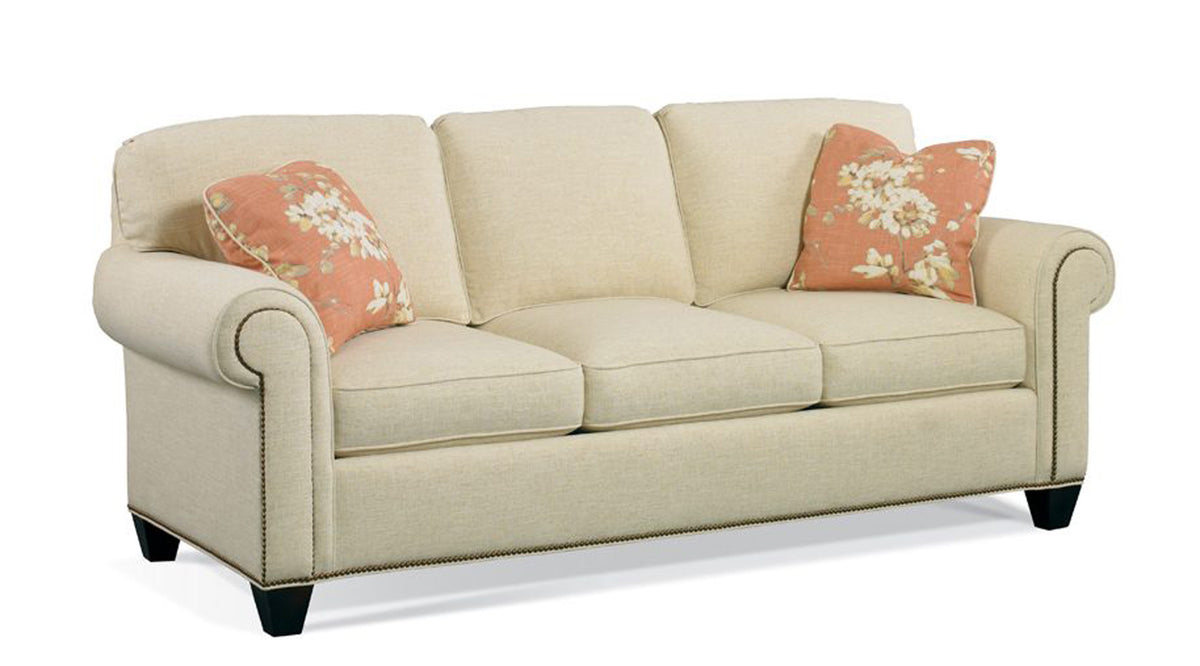 Sleeper Sofa