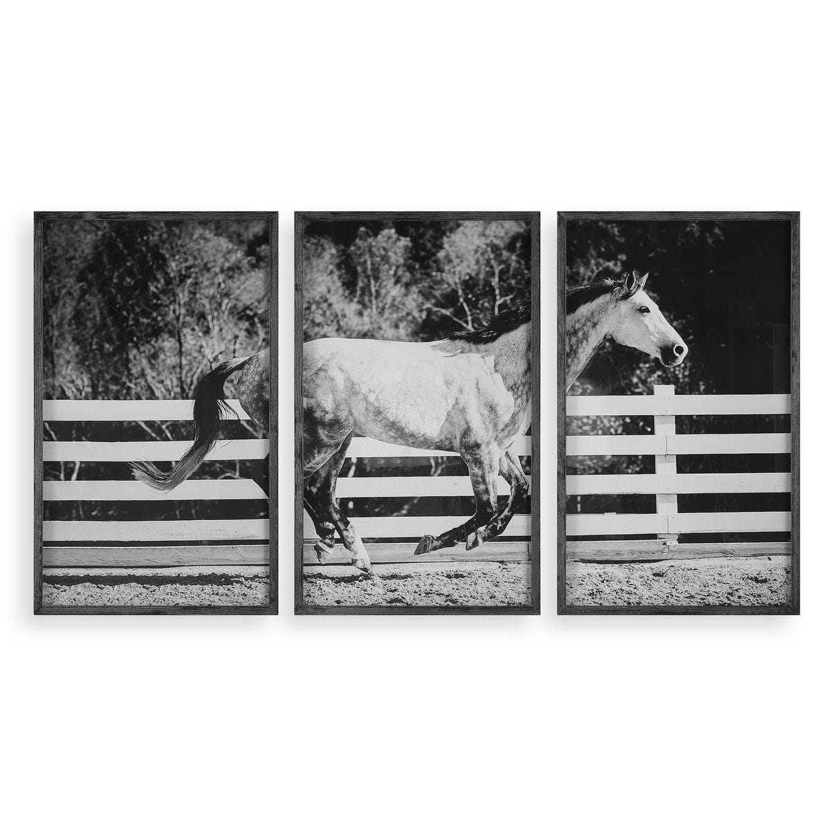 Galloping Forward Framed Prints, S/3 by Uttermost