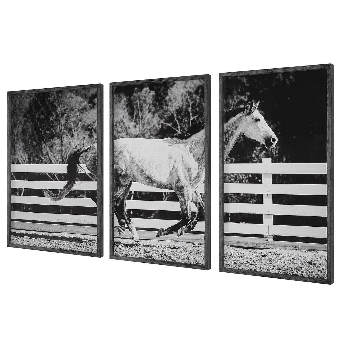 Galloping Forward Framed Prints, S/3 by Uttermost
