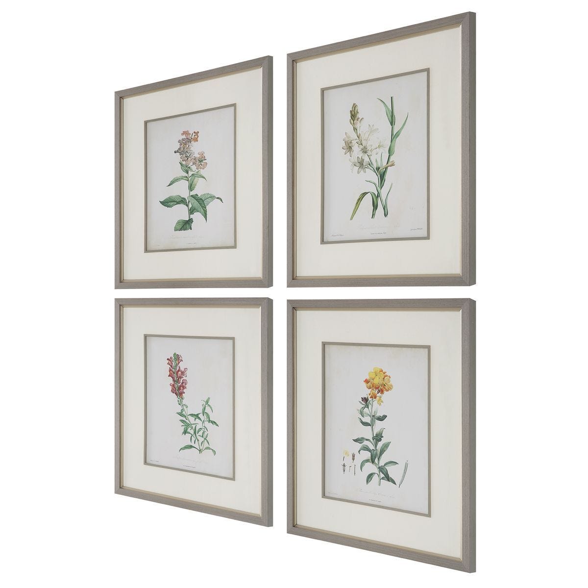 Heirloom Blooms Study Framed Prints, S/4 – Art by Uttermost | Sutter & Vale