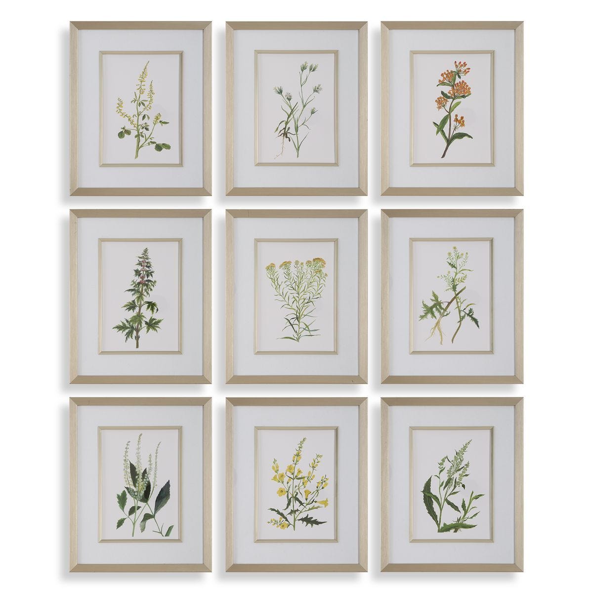 Botanical Flowers Framed Prints, S/9 – Art by Uttermost | Sutter & Vale