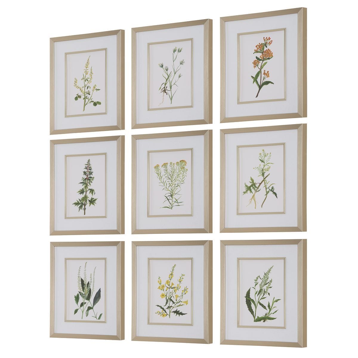 Botanical Flowers Framed Prints, S/9 – Art by Uttermost | Sutter & Vale