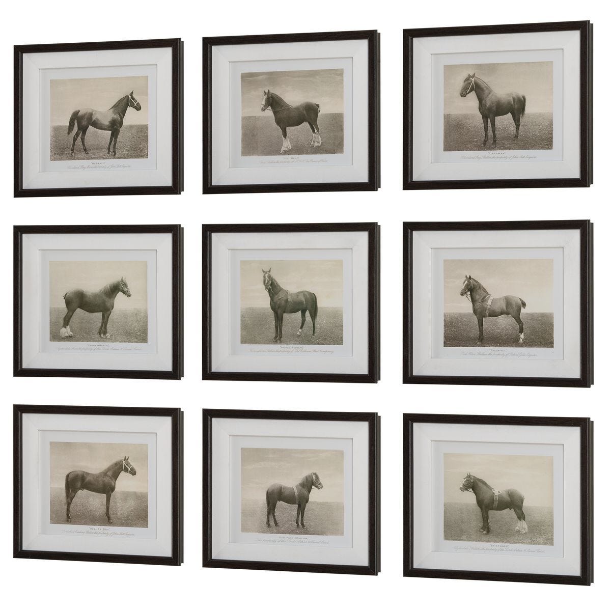 Equine Dynasty Framed Prints, S/9 – Art by Uttermost | Sutter & Vale
