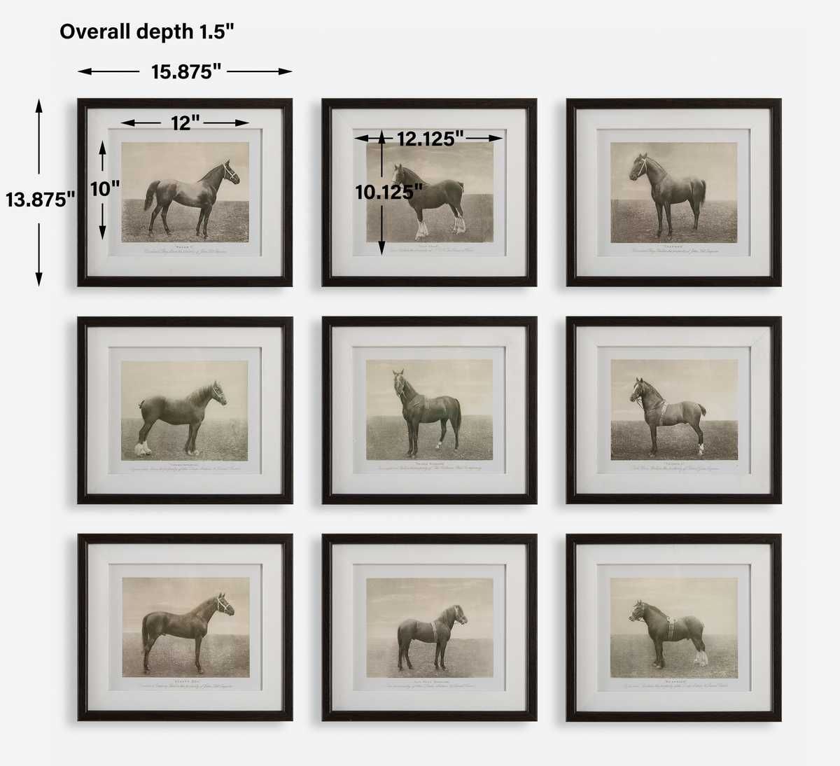 Equine Dynasty Framed Prints, S/9 – Art by Uttermost | Sutter & Vale