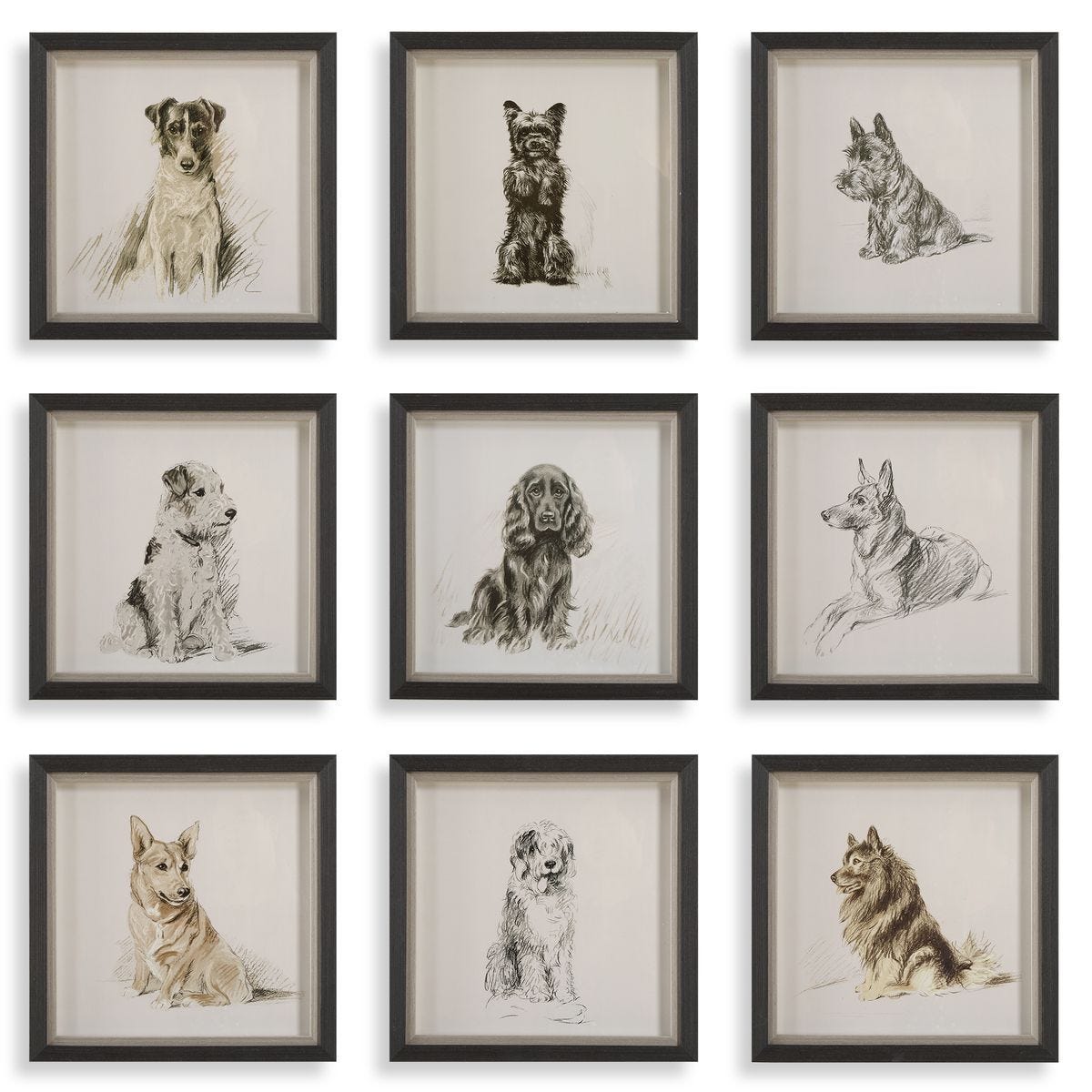 Loyal Companion Framed Prints, S/9 – Art by Uttermost | Sutter & Vale