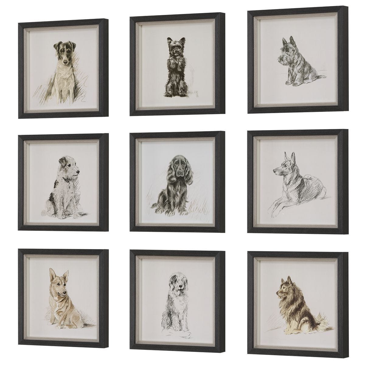 Loyal Companion Framed Prints, S/9 – Art by Uttermost | Sutter & Vale