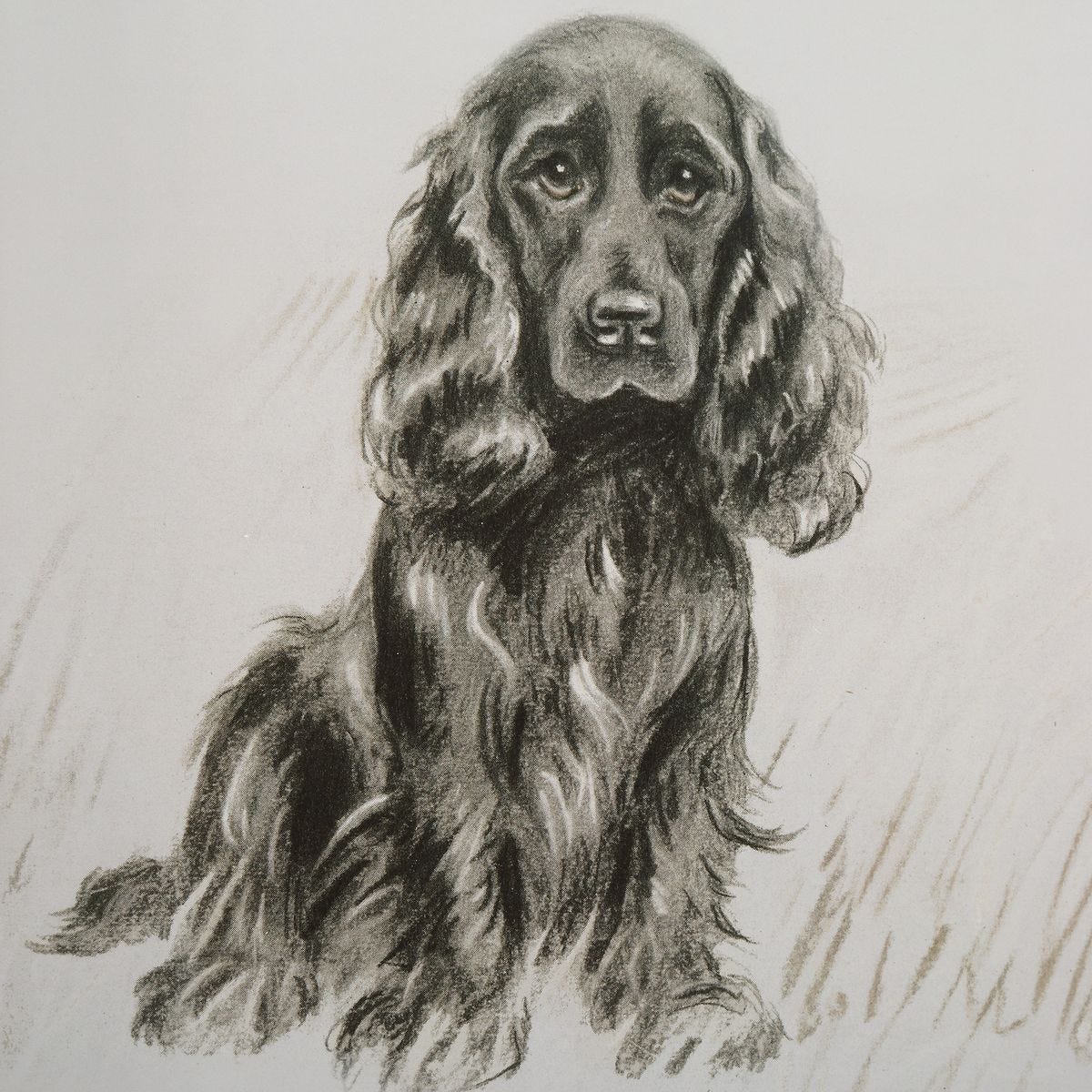 Loyal Companion Framed Prints, S/9 – Art by Uttermost | Sutter & Vale
