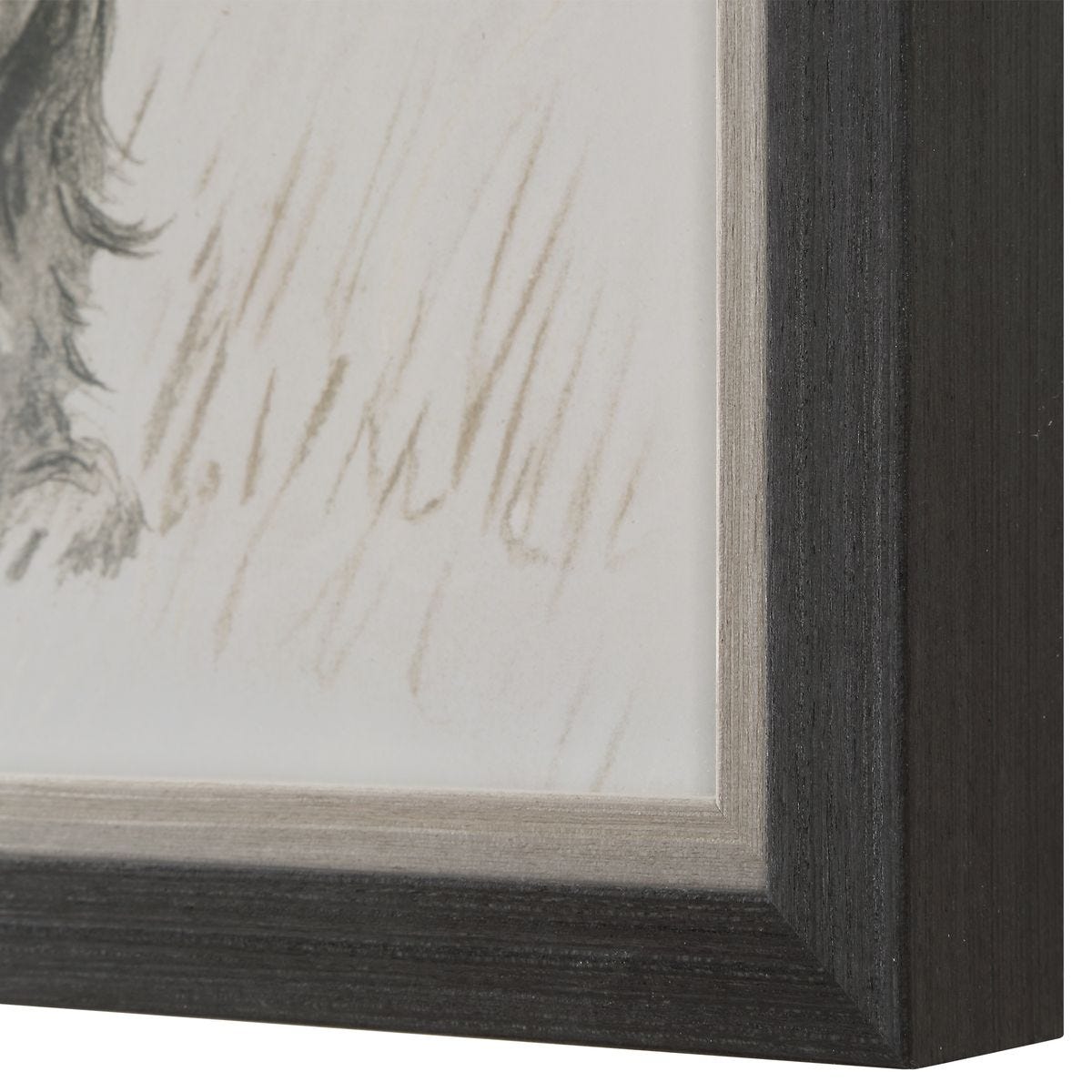 Loyal Companion Framed Prints, S/9