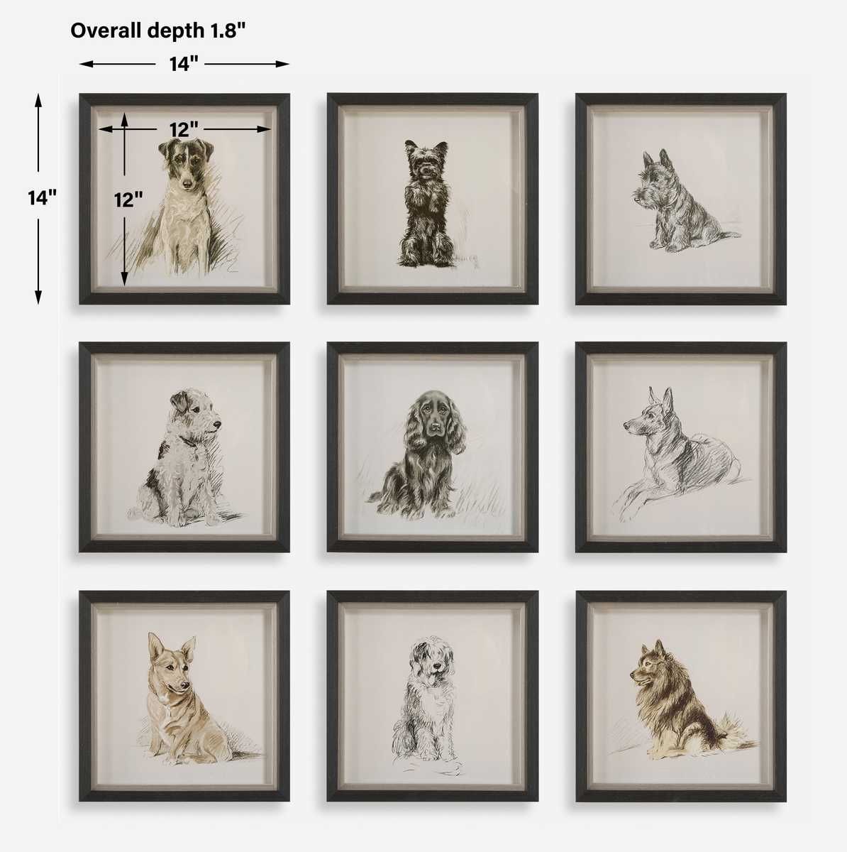 Loyal Companion Framed Prints, S/9 – Art by Uttermost | Sutter & Vale