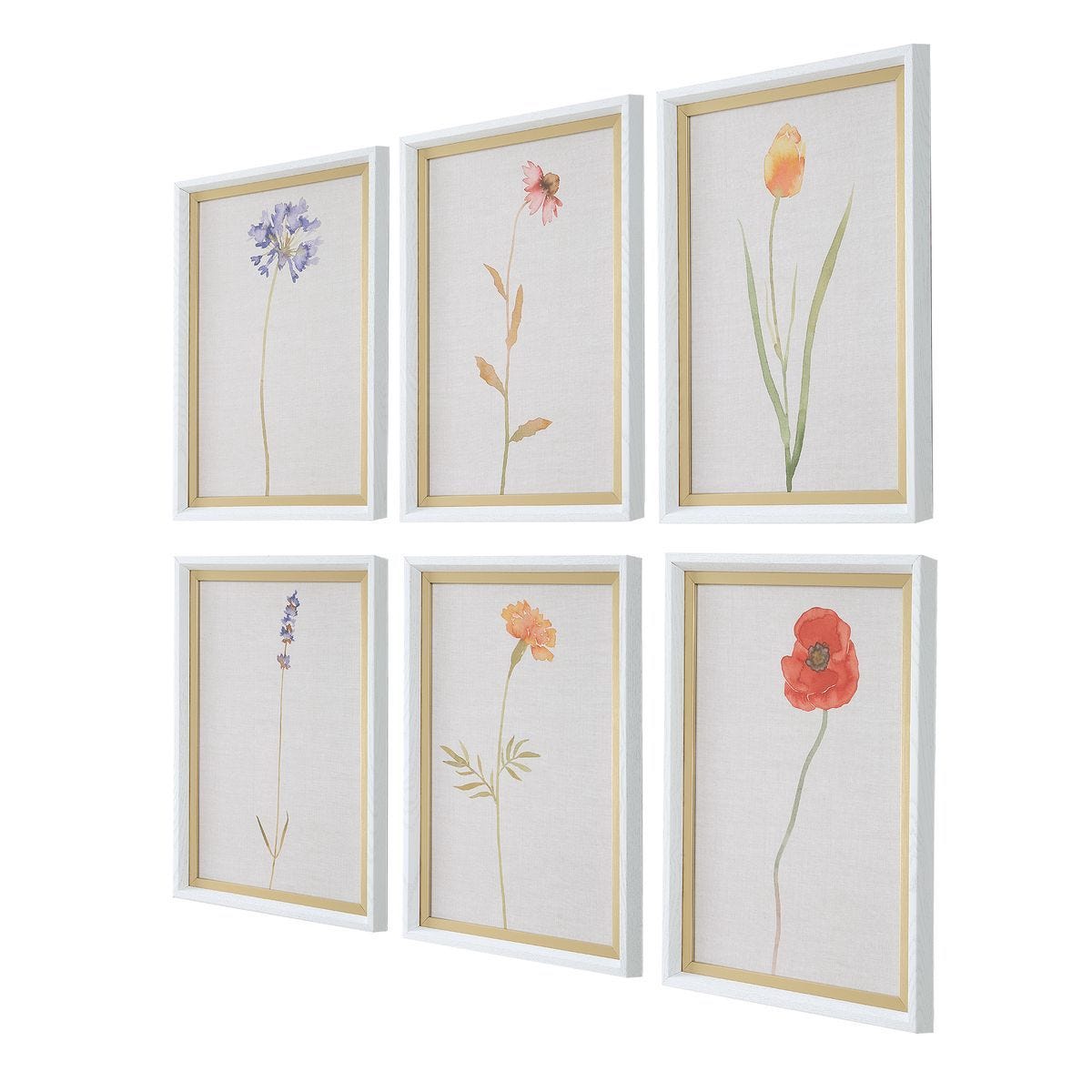 Wild Flourish Framed Prints, S/6 – Art by Uttermost | Sutter & Vale