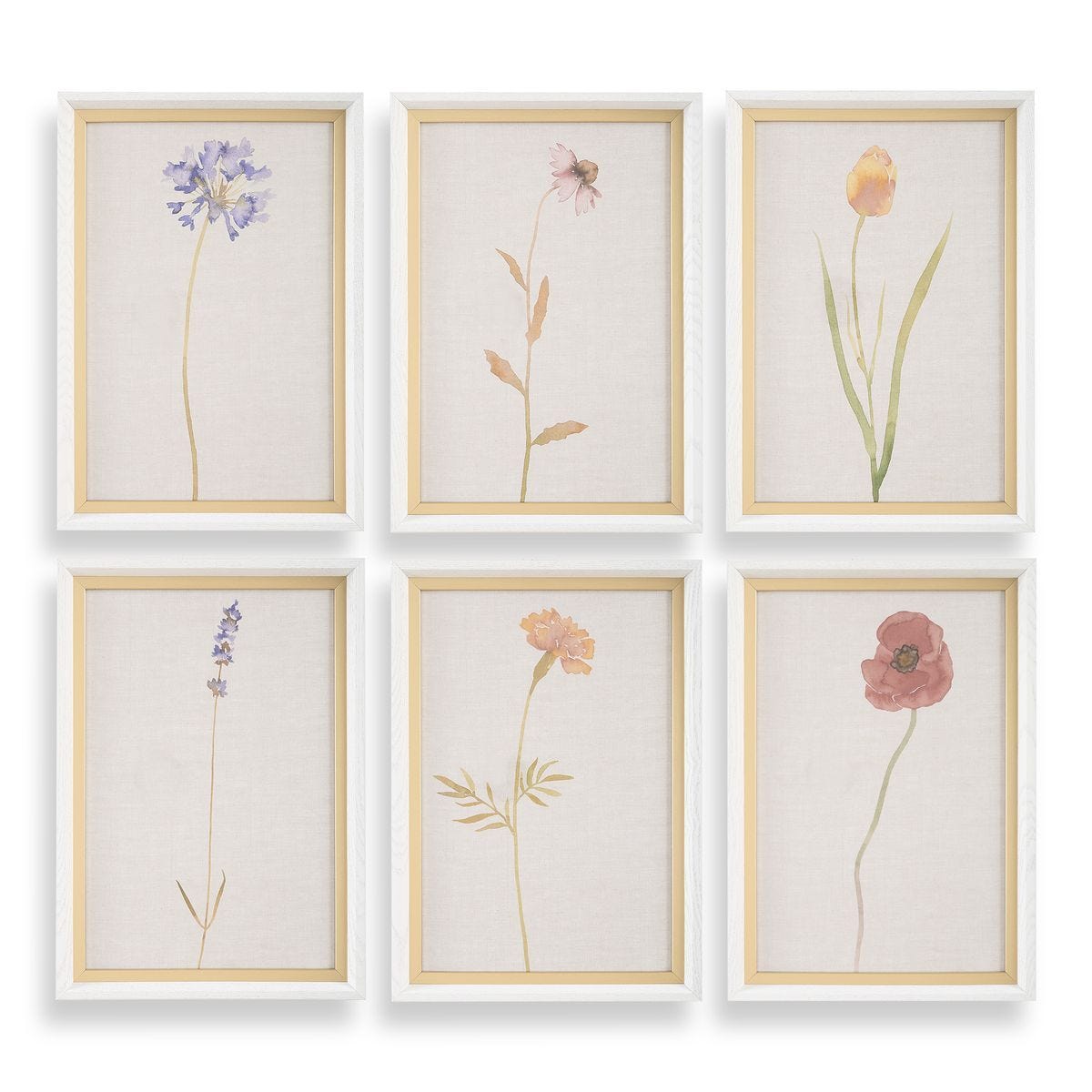 Wild Flourish Framed Prints, S/6 – Art by Uttermost | Sutter & Vale