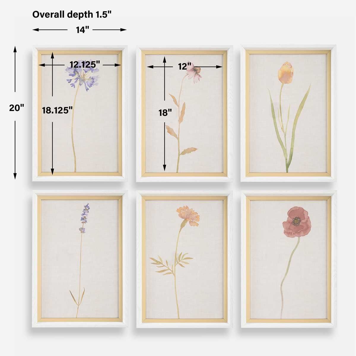 Wild Flourish Framed Prints, S/6 – Art by Uttermost | Sutter & Vale