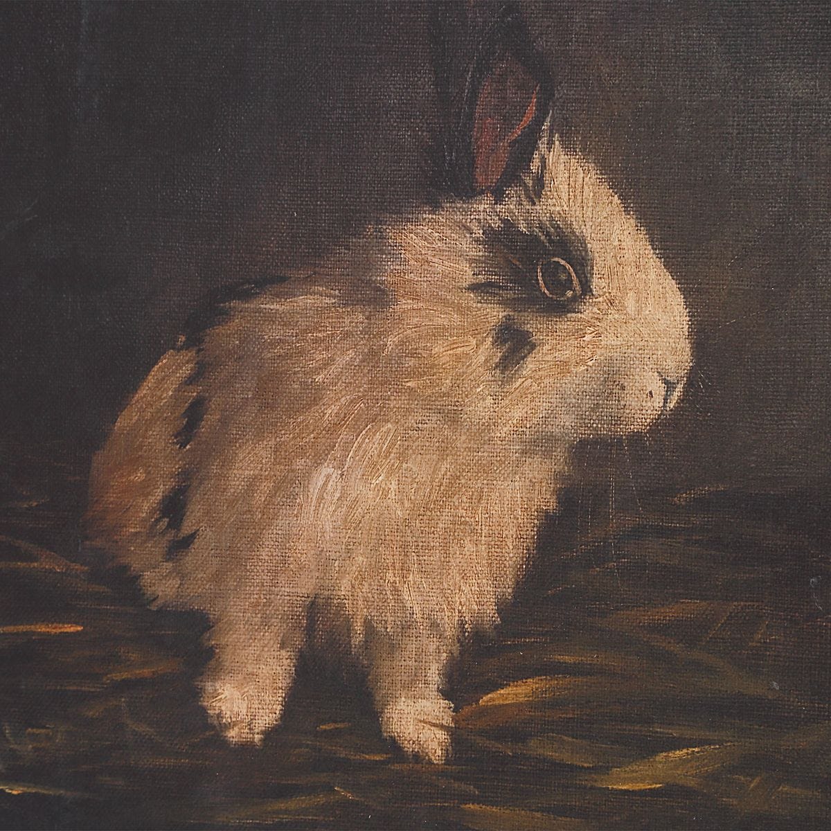Resting Bunny Framed Prints, S/9