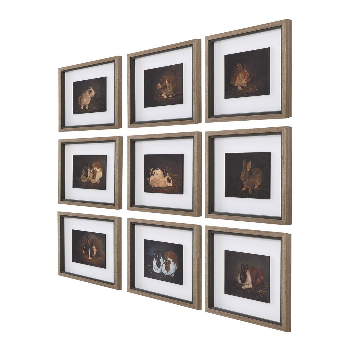 Resting Bunny Framed Prints, S/9 – Art by Uttermost | Sutter & Vale