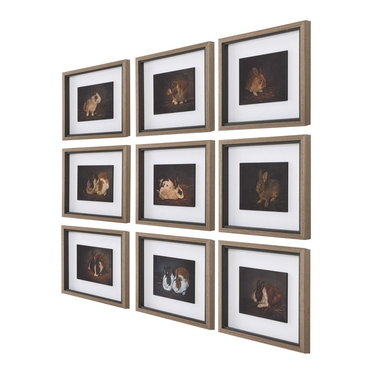 Resting Bunny Framed Prints, S/9