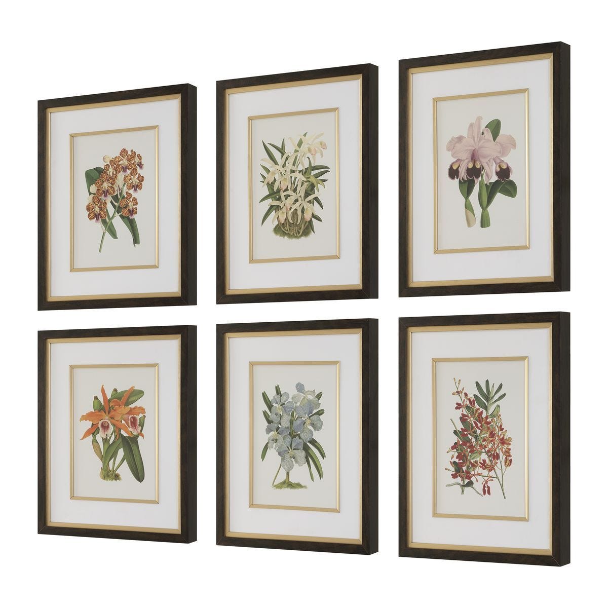 Orchid Botanical Framed Prints, S/6 – Art by Uttermost | Sutter & Vale