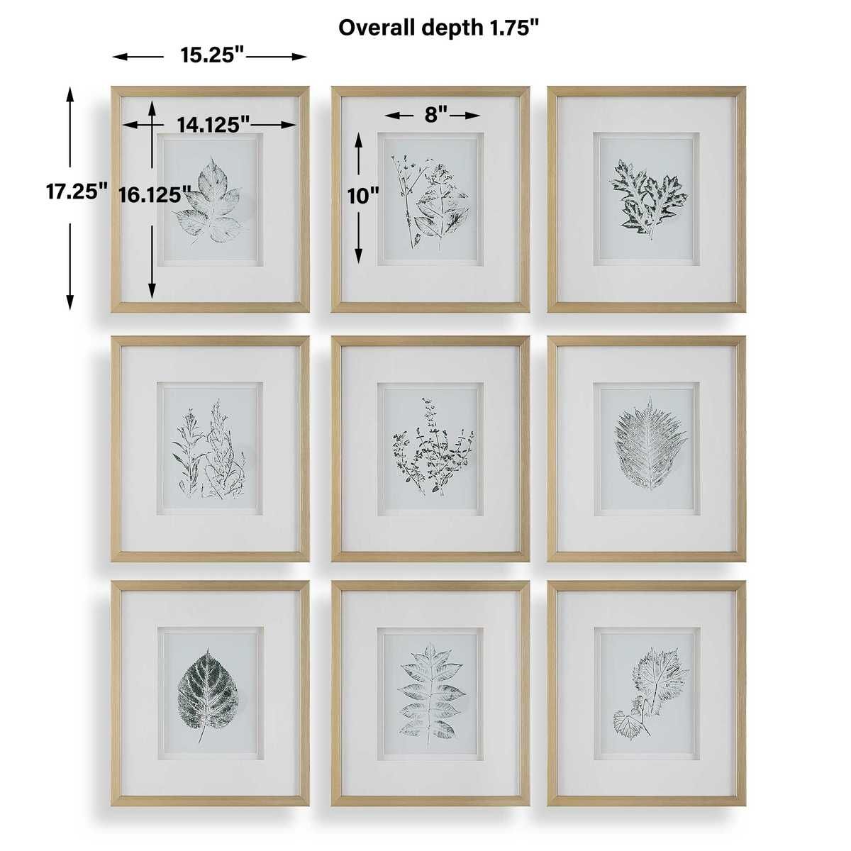 Nature's Script Framed Prints, S/9 – Art by Uttermost | Sutter & Vale