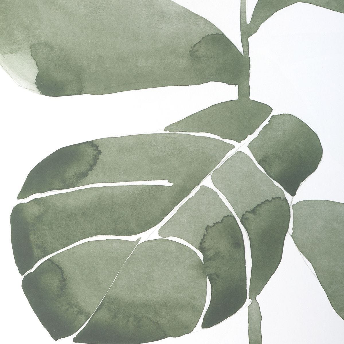 Fiddle Head Leaf Framed Prints, S/4 – Art by Uttermost | Sutter & Vale