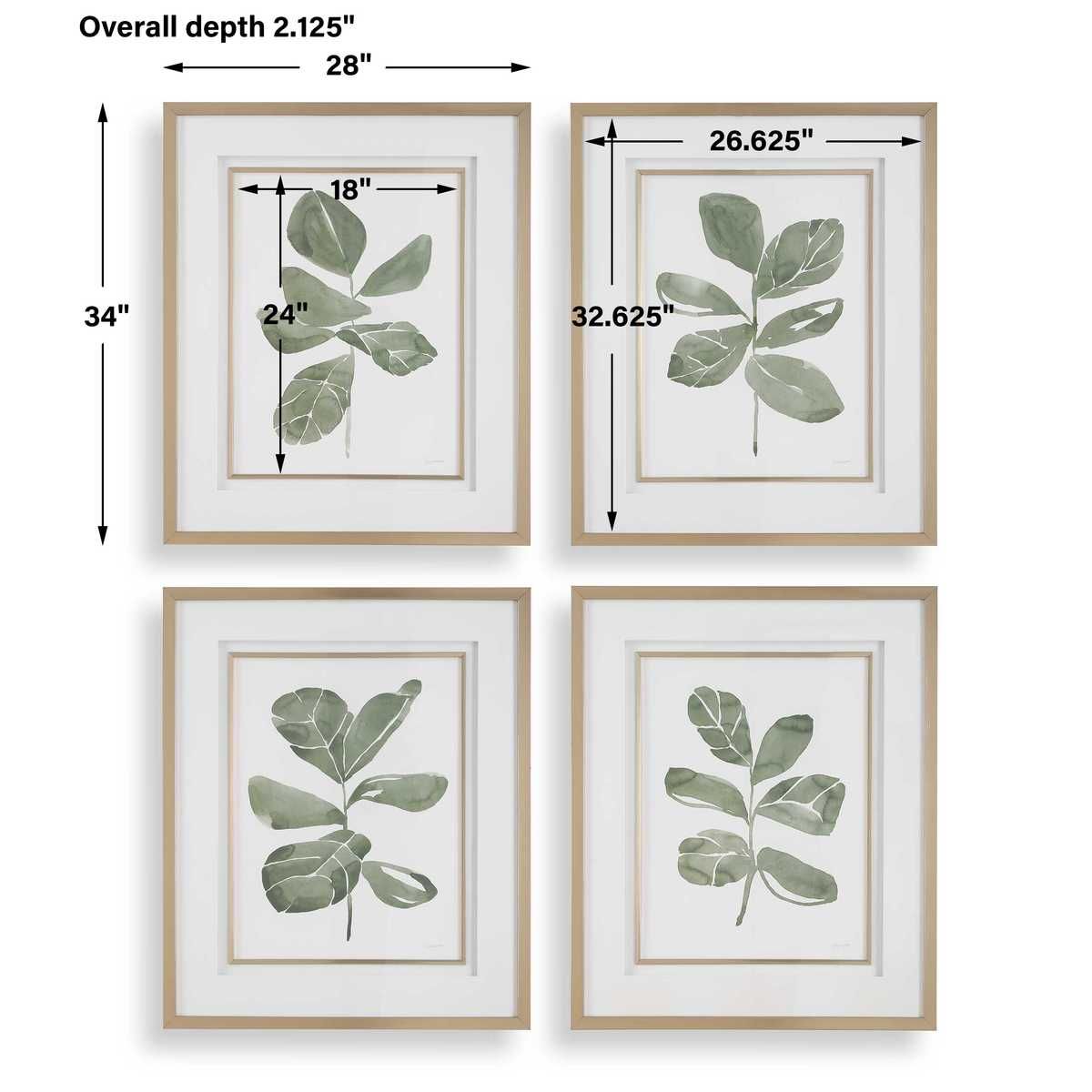 Fiddle Head Leaf Framed Prints, S/4 – Art by Uttermost | Sutter & Vale