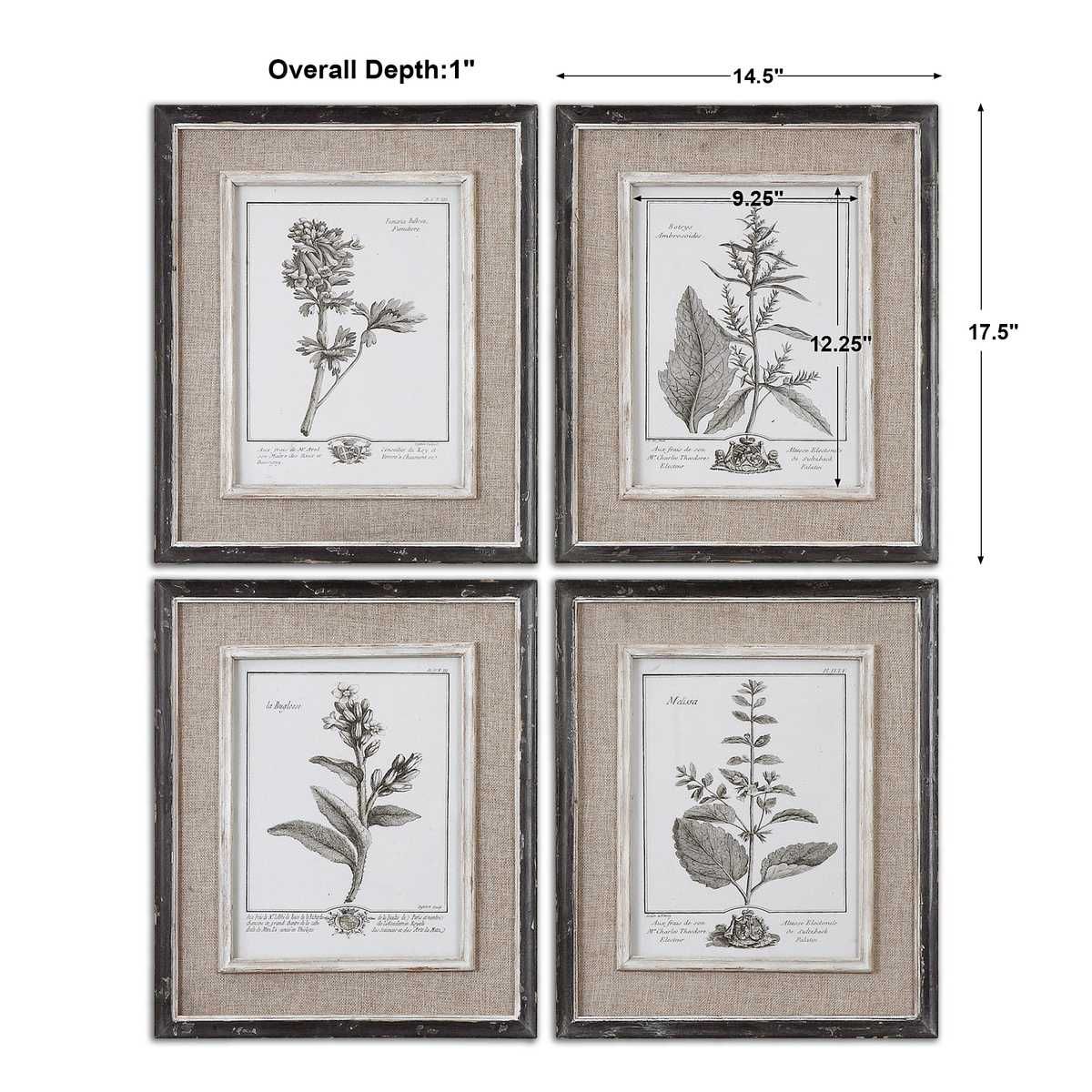 Casual Grey Study Framed Prints, S/4 – Art by Uttermost | Sutter & Vale