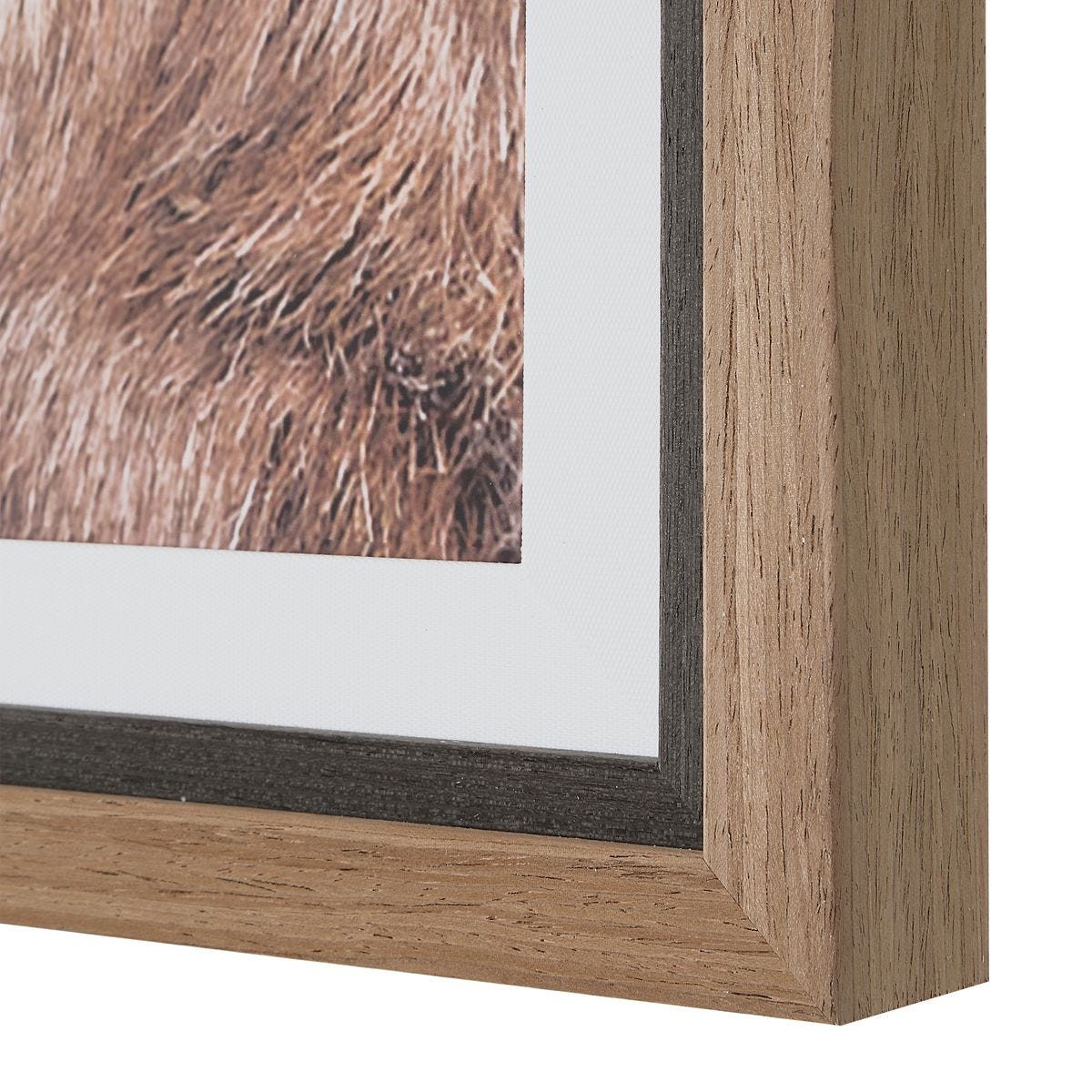 Big Horn Framed Print