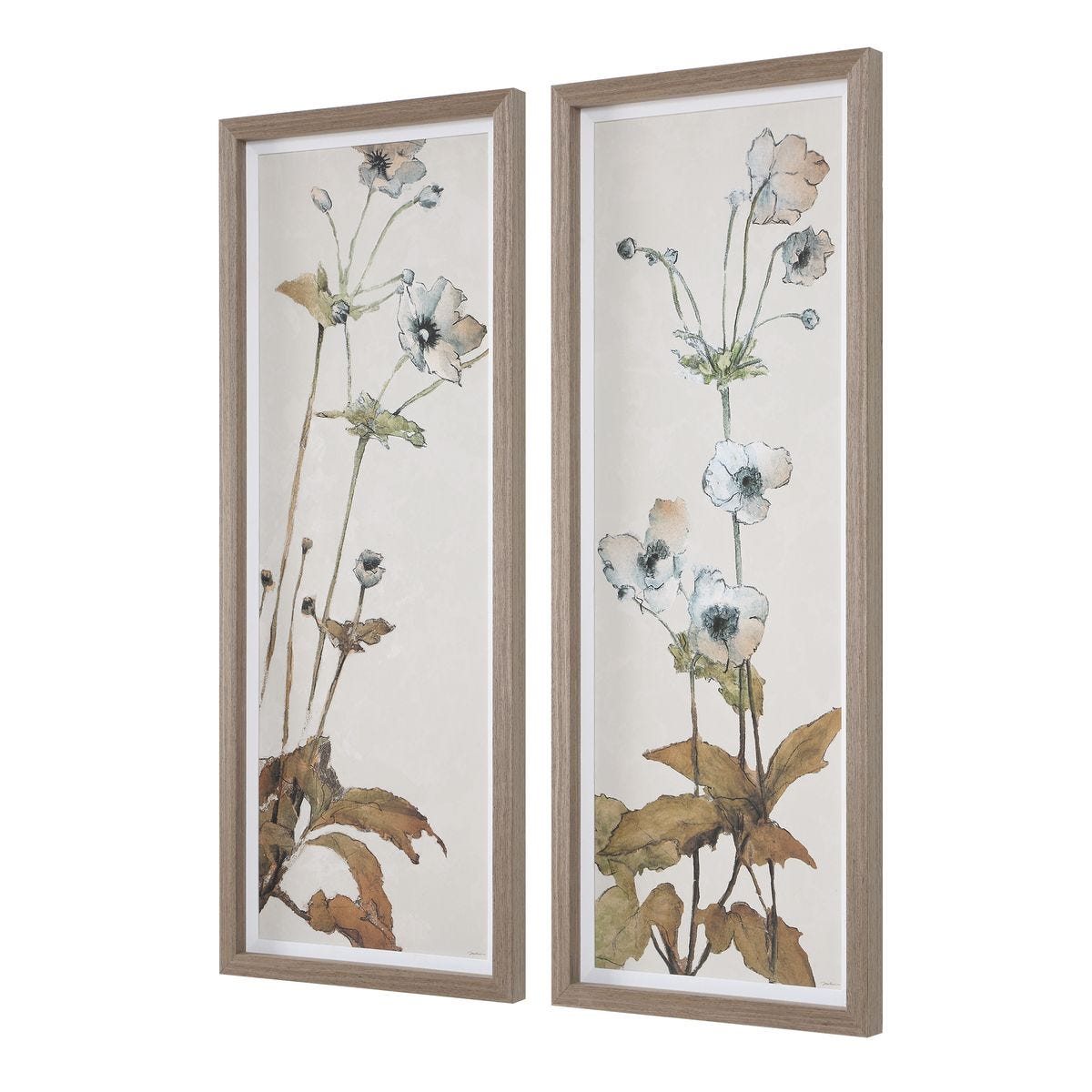 Garden Study Framed Prints, S/2