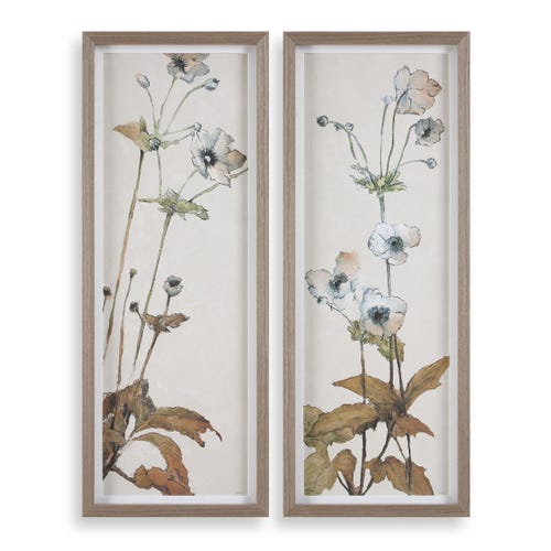 Garden Study Framed Prints, S/2