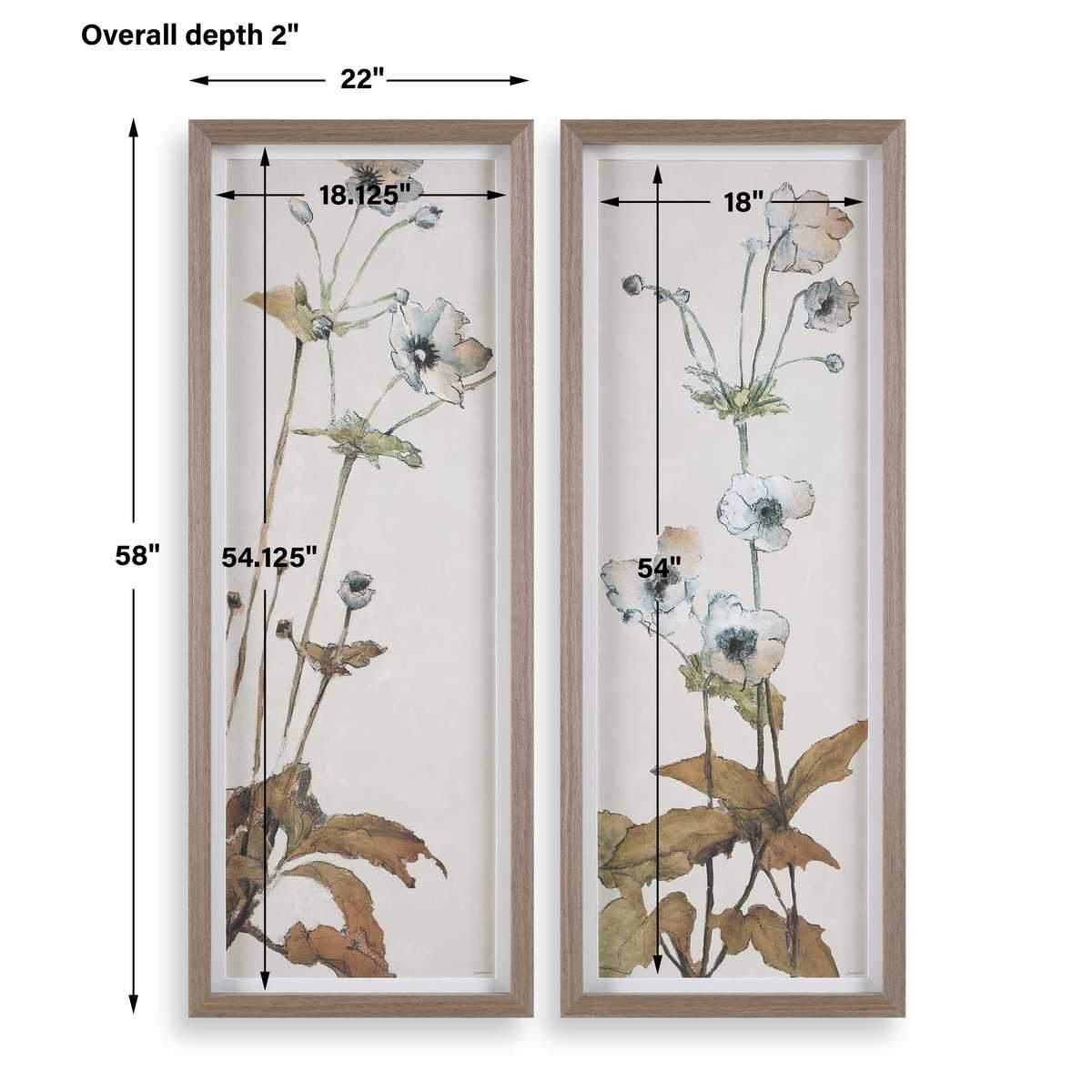Garden Study Framed Prints, S/2