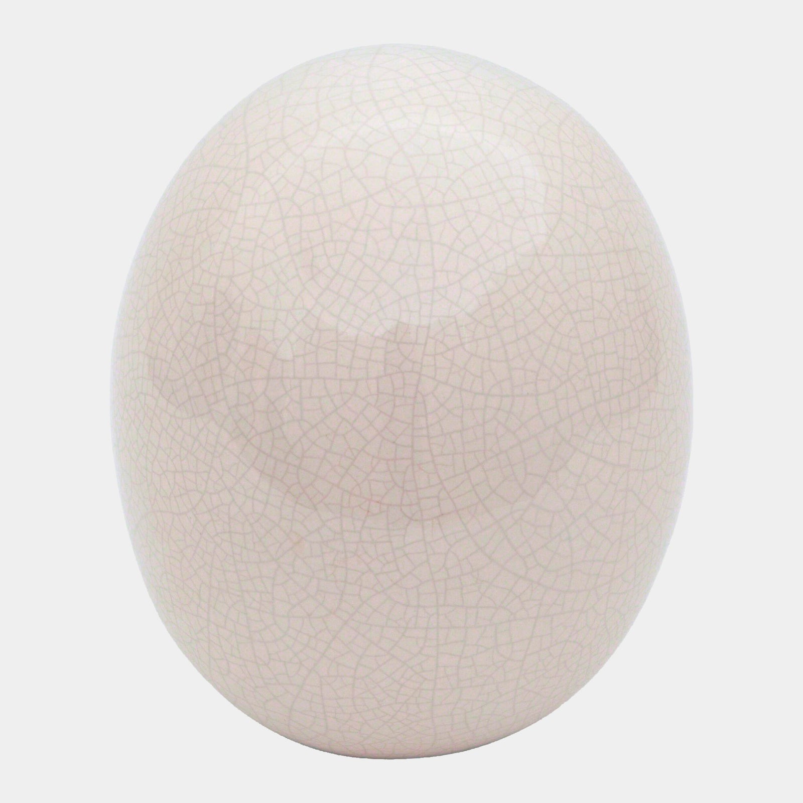 Ostrich Egg