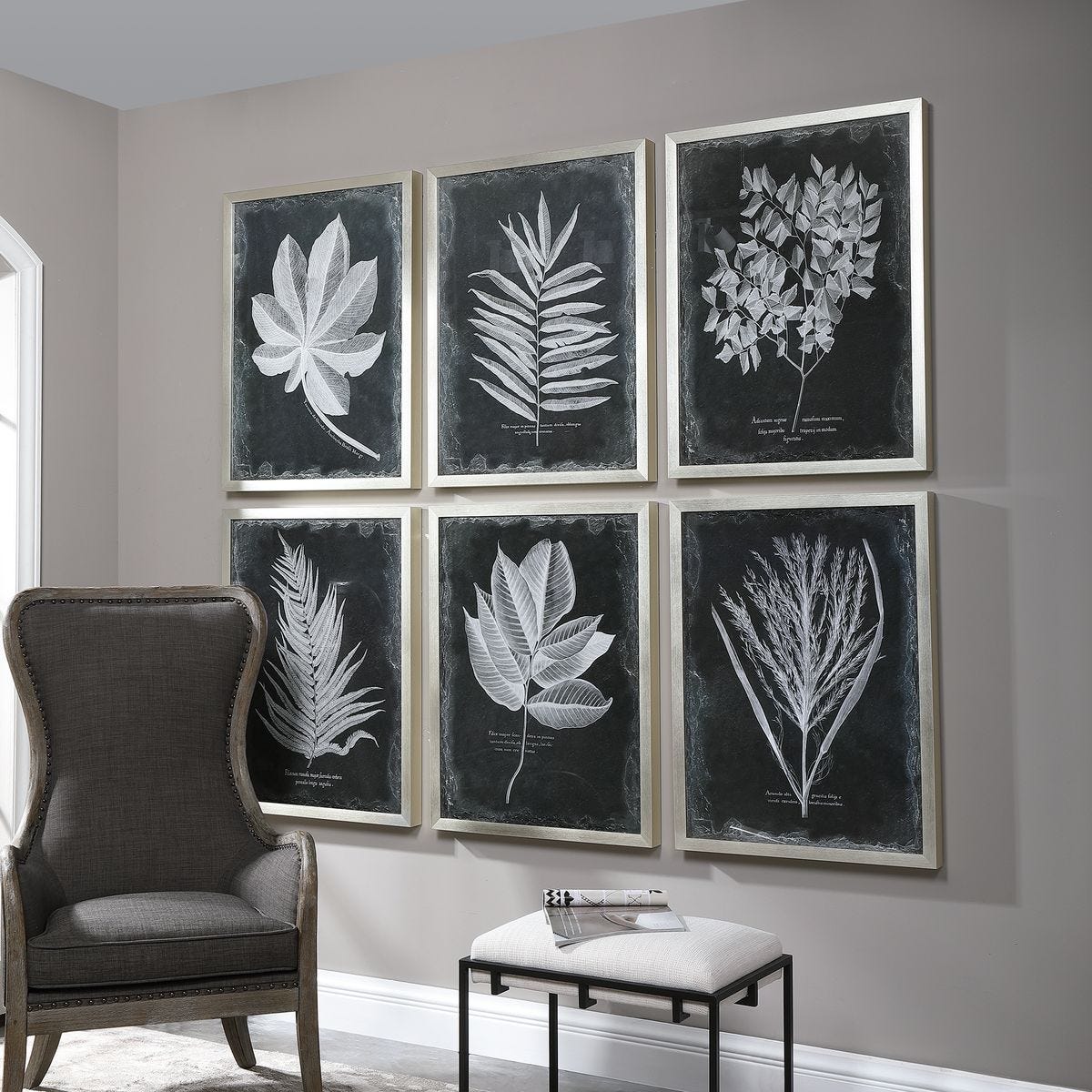 Foliage Framed Prints, S/6 – Art by Uttermost | Sutter & Vale