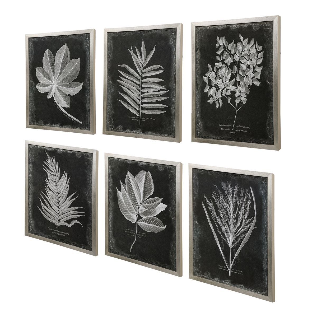 Foliage Framed Prints, S/6 – Art by Uttermost | Sutter & Vale