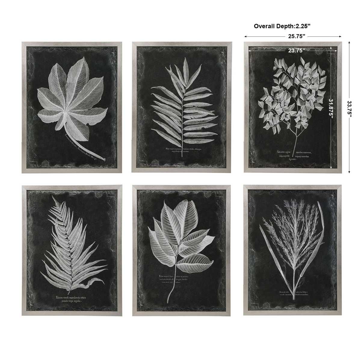 Foliage Framed Prints, S/6 – Art by Uttermost | Sutter & Vale