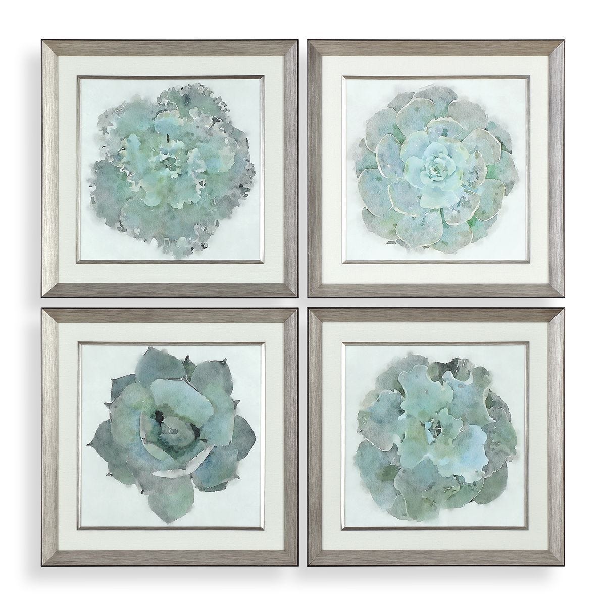 Natural Beauties Framed Prints, S/4 – Art by Uttermost | Sutter & Vale