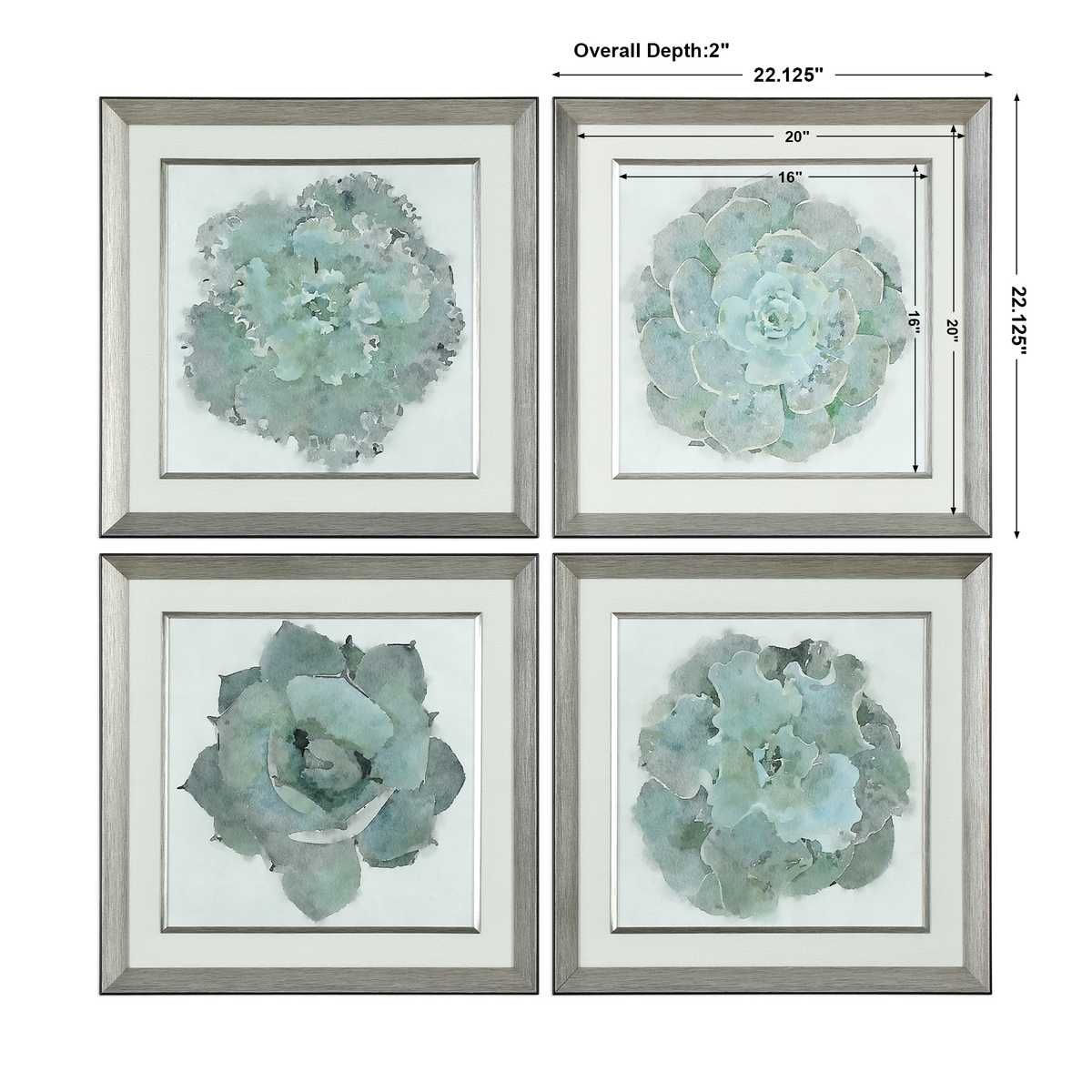 Natural Beauties Framed Prints, S/4 – Art by Uttermost | Sutter & Vale