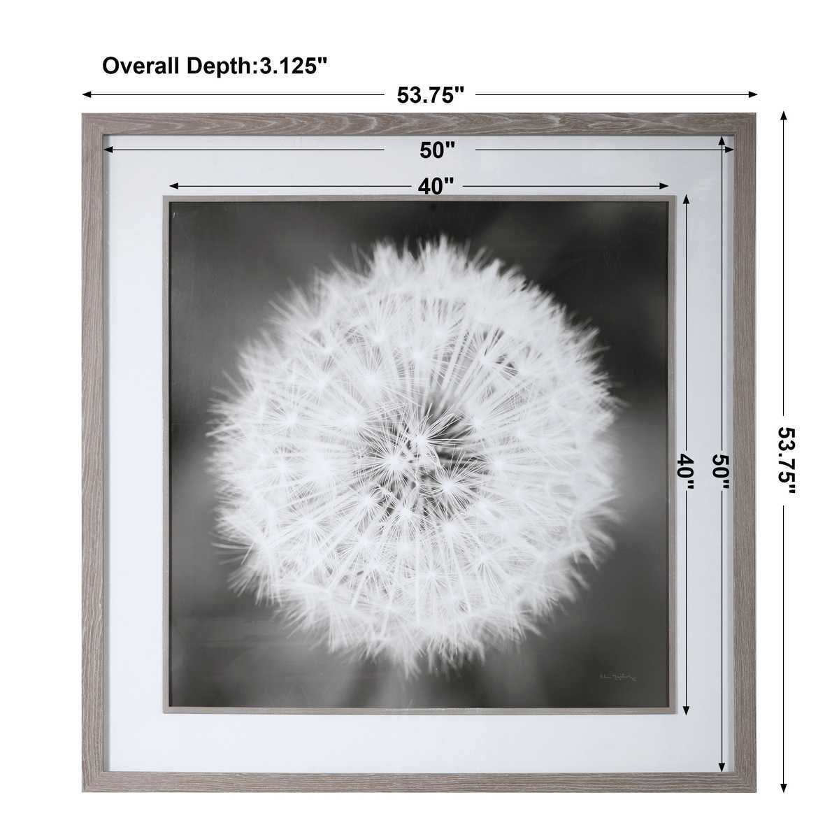 Dandelion Seedhead Framed Print – Art by Uttermost | Sutter & Vale
