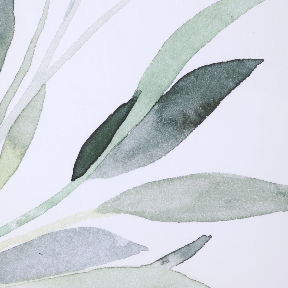 Simple Sage Framed Prints, S/3 – Art by Uttermost | Sutter & Vale