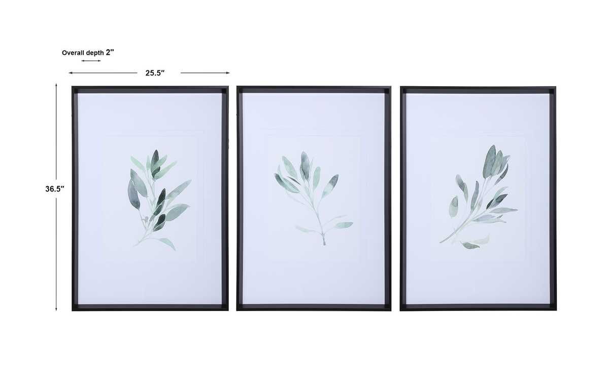 Simple Sage Framed Prints, S/3 – Art by Uttermost | Sutter & Vale