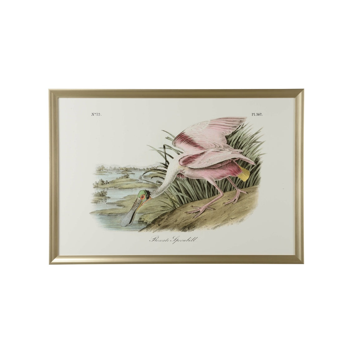 Roseate Spoonbill in 35h x 51w x 1.25d / Giclee - Chelsea House