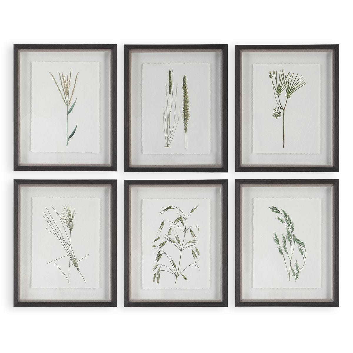 Forest Finds Framed Prints, S/6 – Art by Uttermost | Sutter & Vale