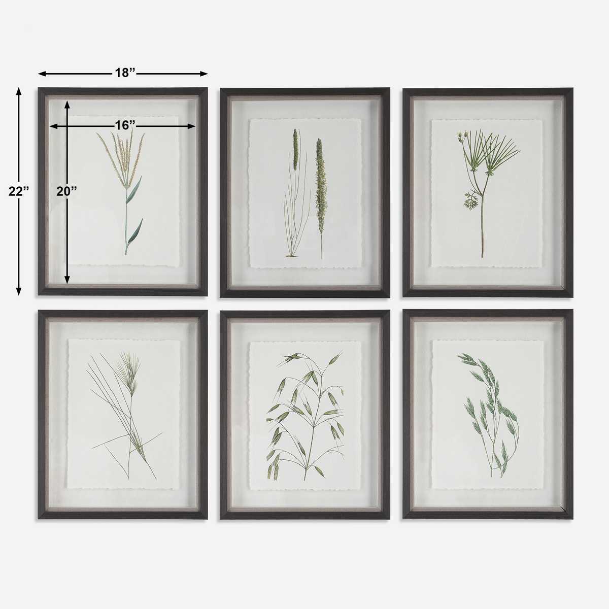 Forest Finds Framed Prints, S/6