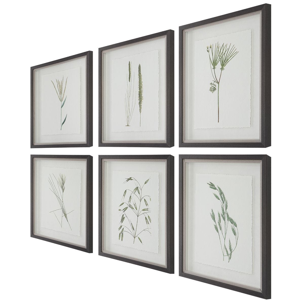 Forest Finds Framed Prints, S/6