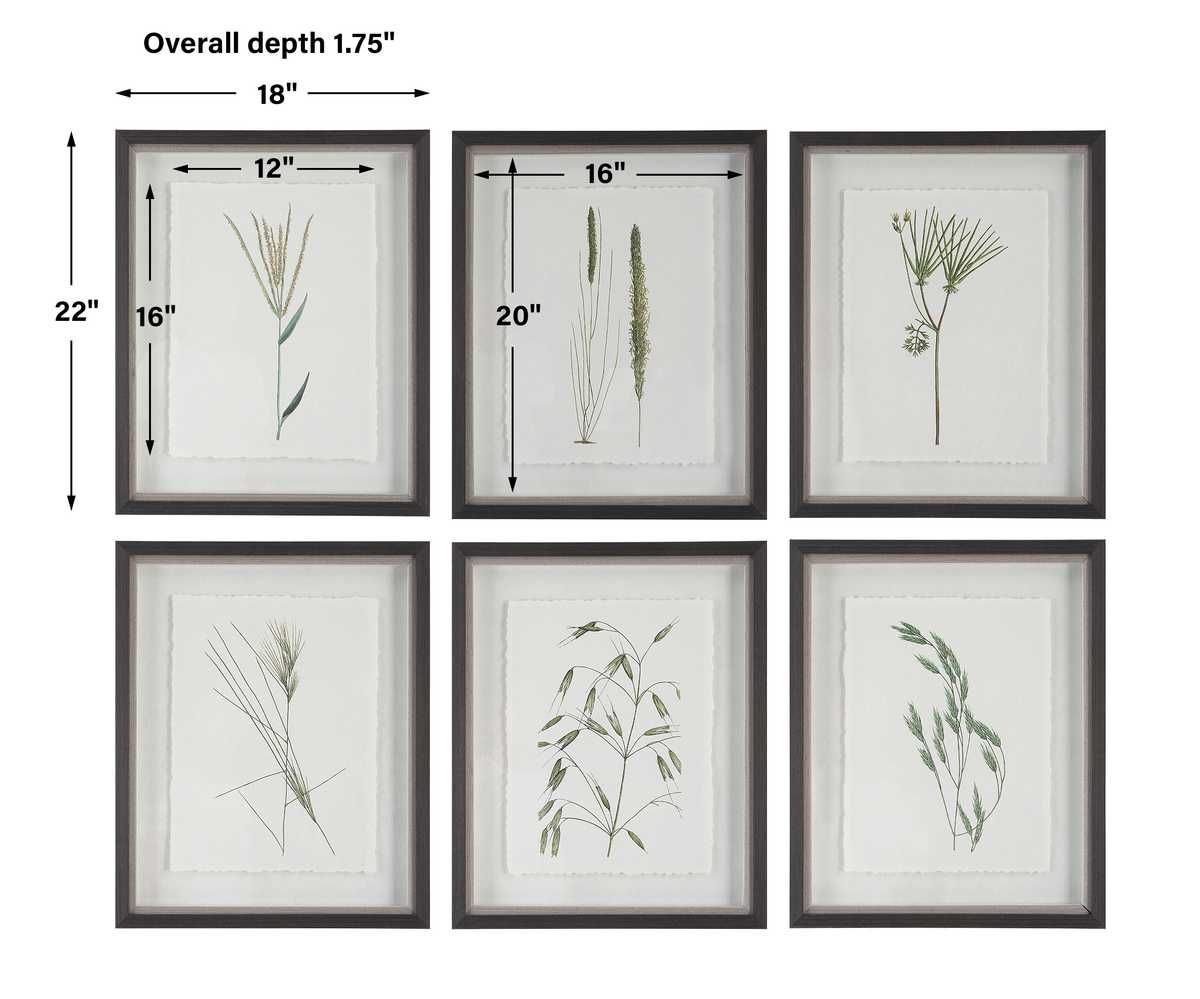 Forest Finds Framed Prints, S/6 – Art by Uttermost | Sutter & Vale