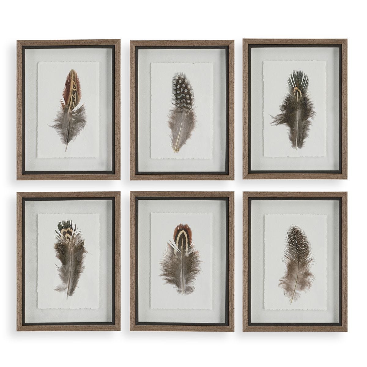 Birds of a Feather Framed Prints, S/6 – Art by Uttermost | Sutter & Vale