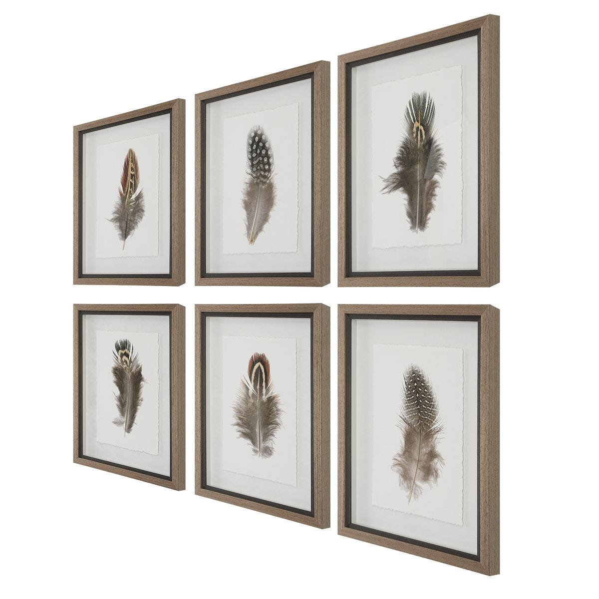 Birds of a Feather Framed Prints, S/6 – Art by Uttermost | Sutter & Vale