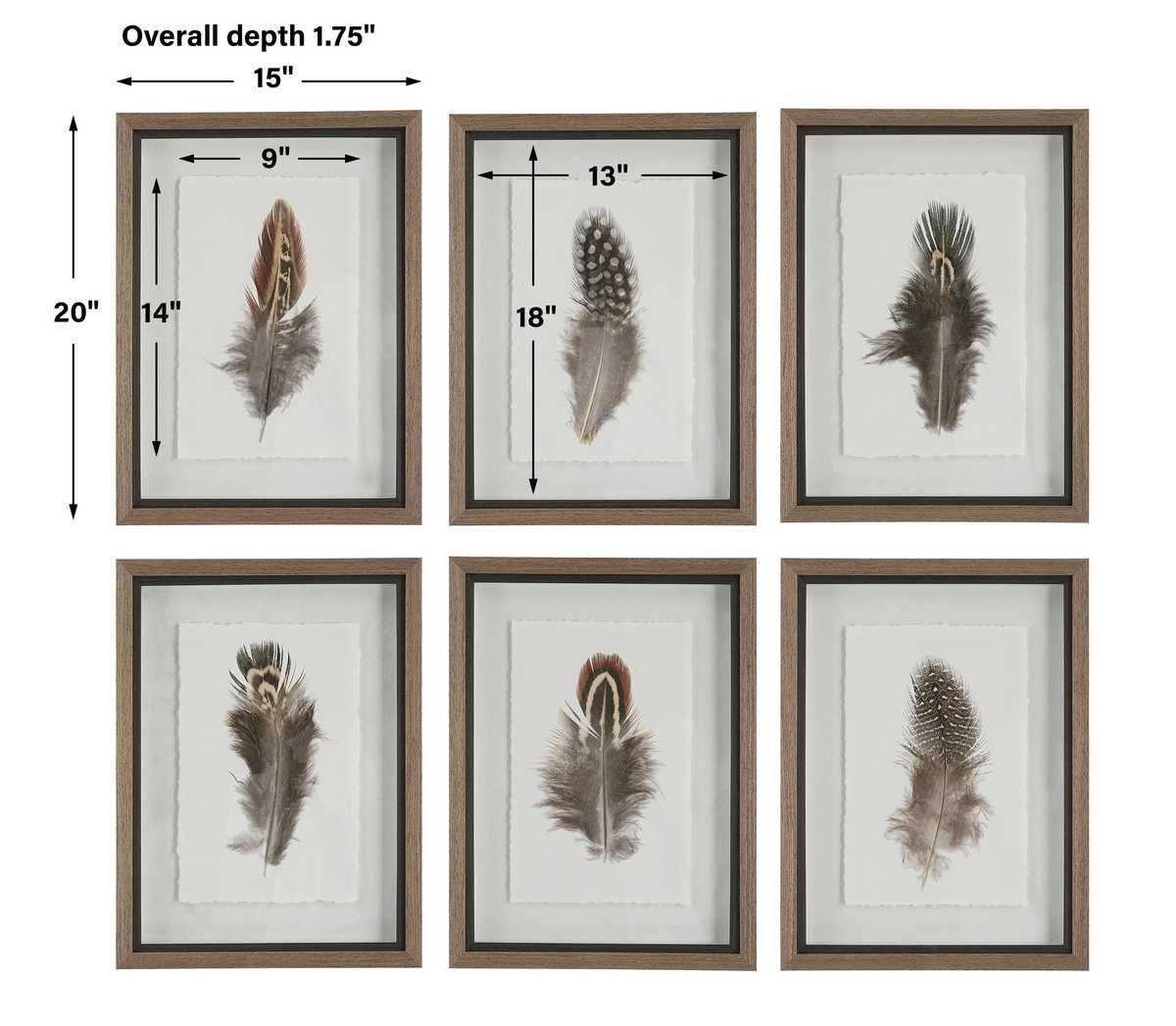 Birds of a Feather Framed Prints, S/6 – Art by Uttermost | Sutter & Vale