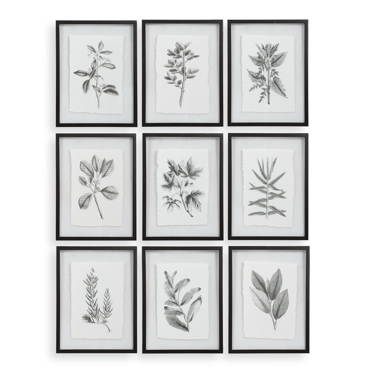Farmhouse Florals Framed Prints, S/9 3 Cartons – Art by Uttermost | Sutter & Vale