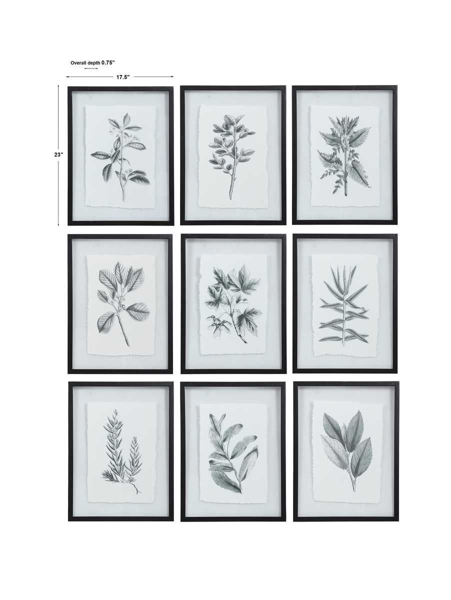 Farmhouse Florals Framed Prints, S/9 3 Cartons – Art by Uttermost | Sutter & Vale